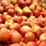 Calories in an Apple